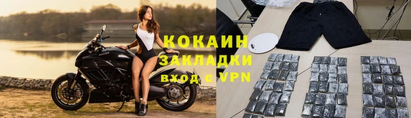 индика Арсеньев
