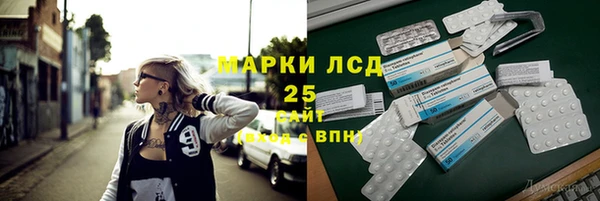 индика Арсеньев