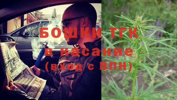PSILOCYBIN Аркадак