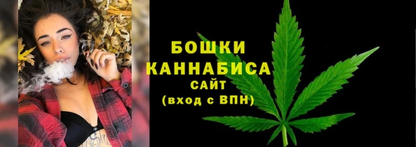 PSILOCYBIN Аркадак