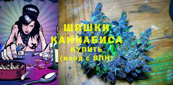 индика Арсеньев