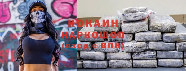 индика Арсеньев