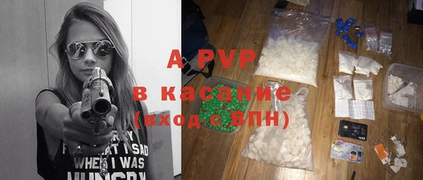 PSILOCYBIN Аркадак