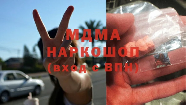 индика Арсеньев