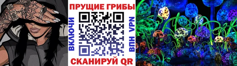 Псилоцибиновые грибы мицелий  закладка  Кулебаки 